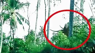 5 Slenderman auf Video aufgenommen 3