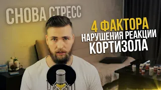 Надпочечники и Кортизол / Управление стрессом