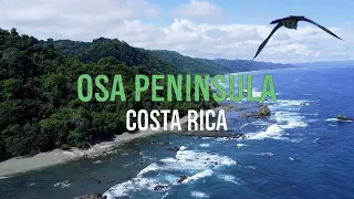 Osa Wild Travel - Osa Peninsula, Costa Rica