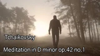 Tchaikovsky Meditation in D minor op.42 no.1 명상