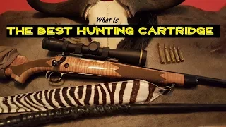 What is the best hunting cartridge?