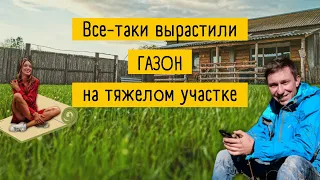 Сажаем газон своими руками. В чем сложность?