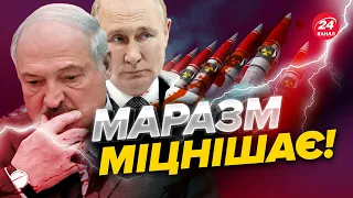 🔥Поголів'я йде на забій / Путін наляканий НАТО / Росія готує ТЕРАКТИ в Білорусі