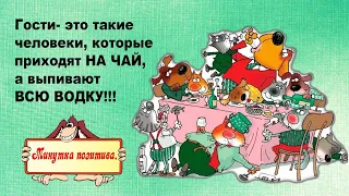 Девушка, у вас есть свободная ночка? Анекдоты выпуск 109. Юмор дня.