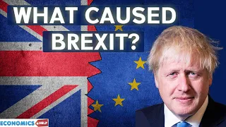 Why did Brexit Happen - When it is Not So Popular?