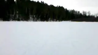 Bigfoot! Possible Sasquatch Footage in Ely, MN