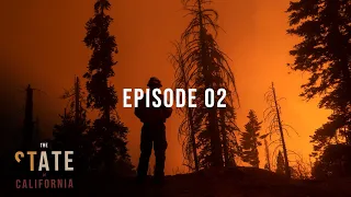 Why California Has So Many Fires | The State of California | One Tree Planted