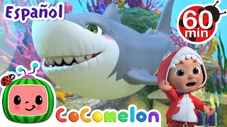 ¡CoComelon! | BEBE TIBURÓN (BABY SHARK) | Canciones Infantiles en Español Latino