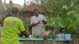 How to graft a plant | FREE ONLINE GARDENING COURSES | In Bengali