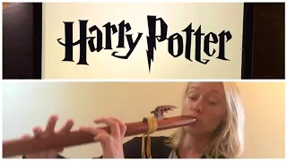 Hedwigs Theme - Harry Potter on Native American Flute
