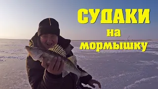 Судак на мормышку. Рыбалка в Казахстане. Зимняя рыбалка 2020