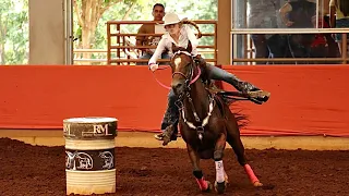 Glenda Cerezer x ST Pansoti 16”883 rancho mariana três tambores