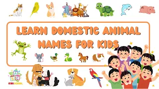 Learn Domestic Animal Names | for Kids | English Vocabulary