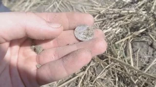 Silber im Dreck. Beim Sondeln auf Schatzsuche