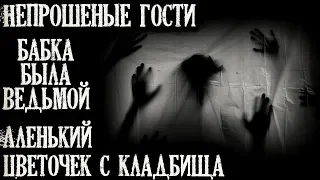 Истории на ночь (3в1): 1.Непрошеные гости, 2.Бабка была ведьмой, 3.Аленький цветочек с клад6ища