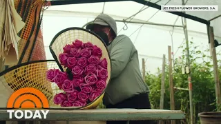 Business Is Blooming For Valentine’s Day Flowers Amid Pandemic | TODAY