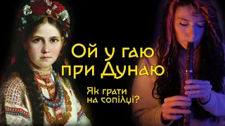 ОЙ У ГАЮ ПРИ ДУНАЮ Як грати на сопілці? | Сопілка