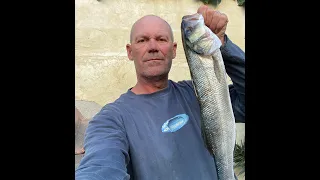 PECHE DU LOUP EN PLAGE AUX LEURRES    HD 720p