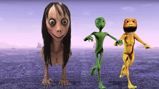 Dame Tu Cosita vs Patila Missed the Stranger (Ep6) MOMO ATTACK