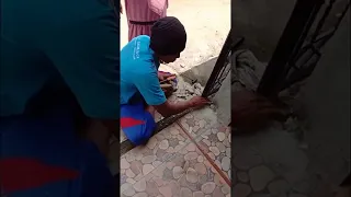 Saving a Kitten Stuck in Drain Pipe || ViralHog