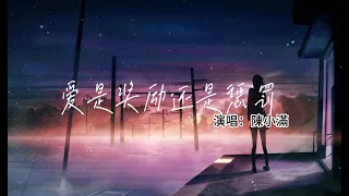 陳小滿 - 愛是獎勵還是懲罰【後來他下雨的時候會在誰的傘下，總在等時間把想念沖刷 等幾個冬夏。】【动态歌词 | Pinyin Lyrics】