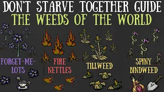 The 4 Types Of Weeds & What They Do - Reap What You Sow Update - Don't Starve Together Guide