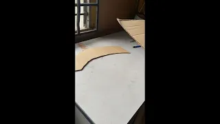 Dolphin Cardboard