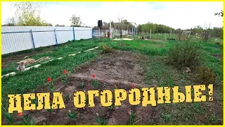 Дела огородные / Экскурсия вокруг дома с Алевтиной / Семья в деревне