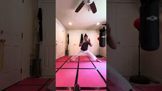 Side kick Basic