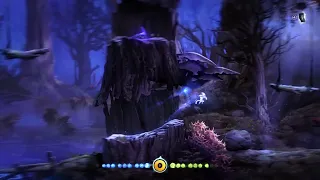 Ori and The Blind Forest  A long episode