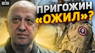 Пригожин "ожил" в Африке. Этот сериал не закончится - Шейтельман