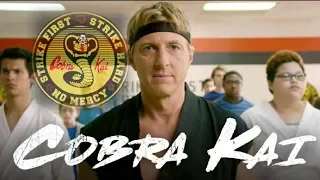 Cobra Kai Rules! Season 1 Review!!!