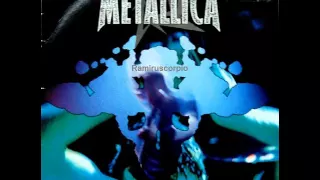 Metallica - The Unforgiven II (1997)