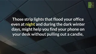 The Toxic Office - How To Make Your Workplace Healthier [Beat Sick Building Syndrome]