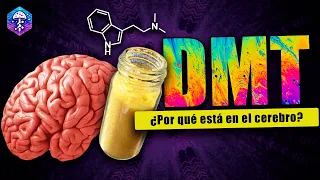 DMT 🧠 ¿El neurotransmisor de la conciencia?