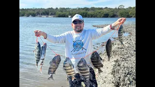 SHEEPSHEAD Fishing on KAYAK Limit OUT EP.64