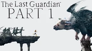 The Last Guardian - Let's Play - Part 1 - "Taming Trico, Escaping The Cave" | DanQ8000