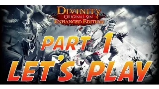 Divinity Original Sin Enhanced Edition: Part 1 Rogue/Mage Lone Wolf