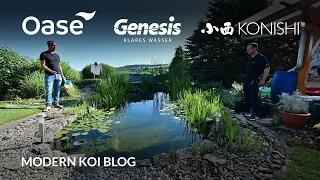 Modern Koi Blog #5499 - Rudis selbstgebauter und naturnaher Koiteich