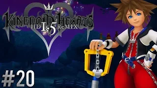 Ⓜ Kingdom Hearts HD 1.5 Final Mix ▸ 100% Proud Walkthrough #20: 100 Acre Wood IV