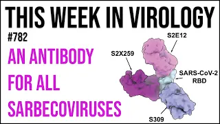 TWiV 782: An antibody for all sarbecoviruses