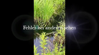 Nada - "Selbst Gespräche": Fehler bei anderen sehen