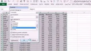 CFO Learning Pro - Excel Edition "CopySubtotals" Issue 75