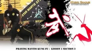 Praying Mantis Kung Fu Tutorial Beng Bu 崩步  : Lesson 1 Section 2