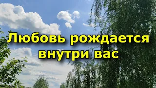 Не ищите любовь снаружи: она рождается внутри вас