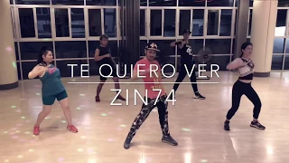 Zumba Fitness - Te Quiero Ver (Cumbia Calypso Techno) ZIN74 | Choreography by Zumba Fitness