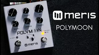 Meris Polymoon Delay Demo (Stereo - Headphones please)