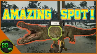 The Best Spot for Diamond Alligators! Call Of The Wild