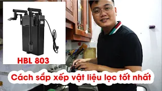 Cách vệ sinh và sắp xếp VLL lọc HBL 803 hiệu quả - Thủy Sinh 4U