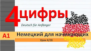 Урок 4/28. A1. Немецкий для начинающих. Цифры 1-20. Именит. падеж (Nominativ). Множеств. число сущ.